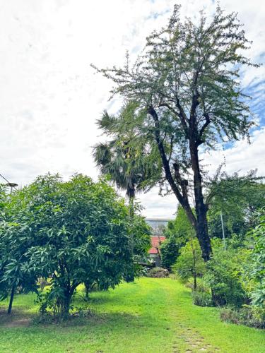 Malone Villa