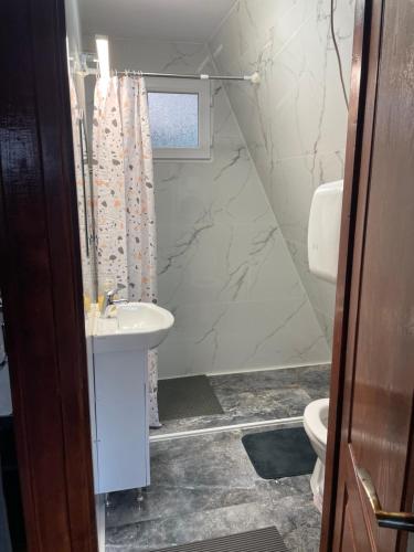 a bathroom with a shower and a sink and a toilet at CABANĀ TIP A LA 300 m De CASTEL in Hunedoara