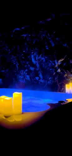 la fermeture d’une plaque d’alimentation éclairée dans l'établissement Le Royal Love Loft, à Reignac