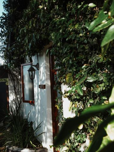 Κήπος έξω από το King George's Guest House