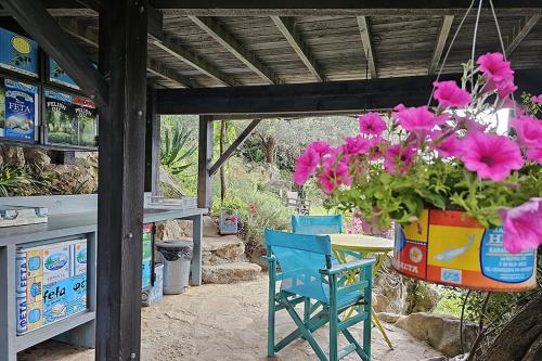 Φωτογραφία από το άλμπουμ του Magical Treehouse Cabin by the sea with amazing views σε Koukouleika