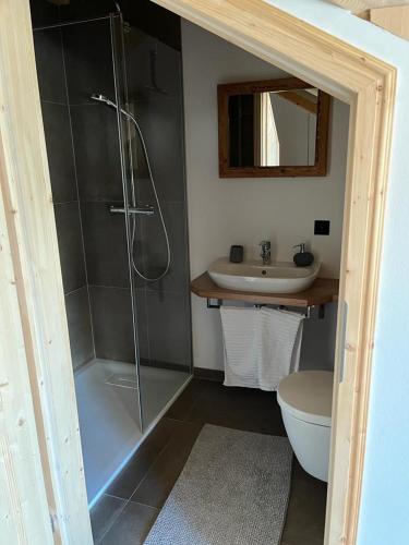 a bathroom with a shower and a toilet and a sink at Bergchalet K2 in Hohentauern