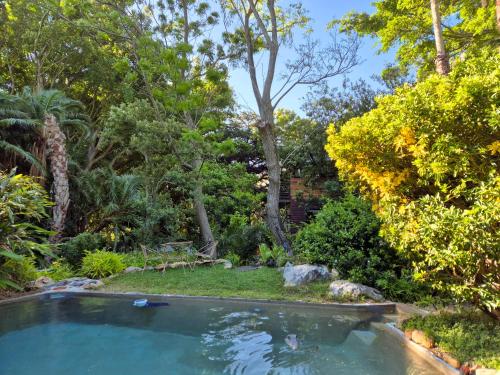 a swimming pool in a garden with trees at ZenCapeTown Forest Retreat in Cape Town