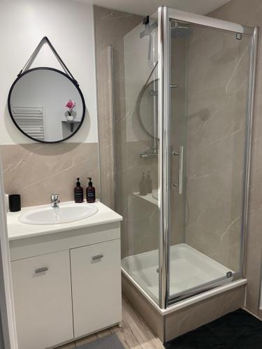 une salle de bain avec douche et lavabo dans l'établissement Gîte carpe Diem, à Ligré