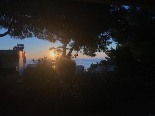 Φυσικό τοπίο κοντά σε αυτό το διαμέρισμα
