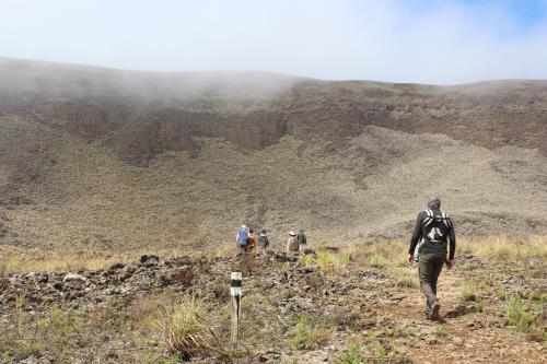 Hotel Isamar Galapagos Beachfrontの宿泊客