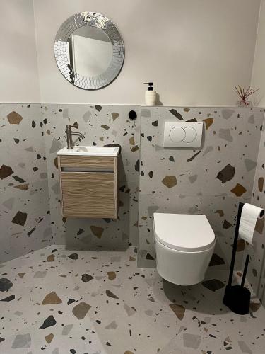 une salle de bain avec toilettes, lavabo et miroir dans l'établissement Au chemin des vignes, à Bergheim