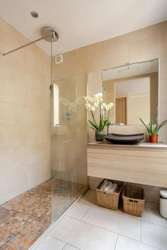 une salle de bain avec une douche, un lavabo et un miroir dans l'établissement Lovely Appartment Montmartre - View Sacré coeur, à Paris