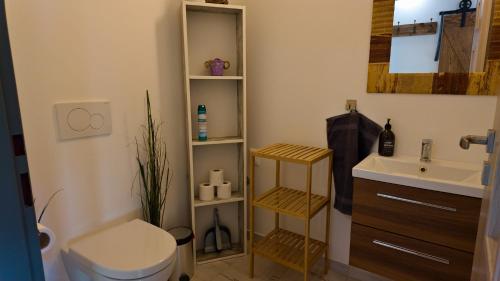 a bathroom with a toilet and a sink at Apartman Vulcano in Zvolen