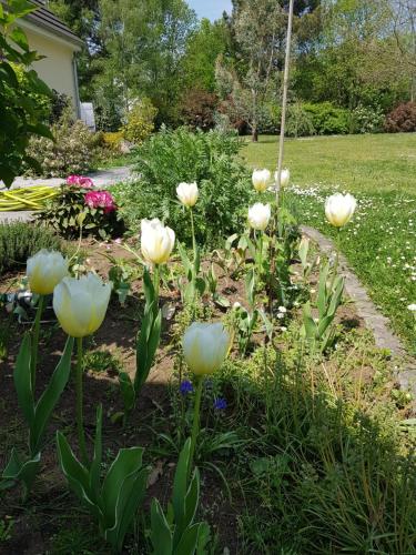 Photo de la galerie de l'établissement 2 Chambres Doubles - SDB commune - Piscine - Spa - 24H du Mans Auto Moto, Grand Prix France, Le Mans Classic, à Fillé