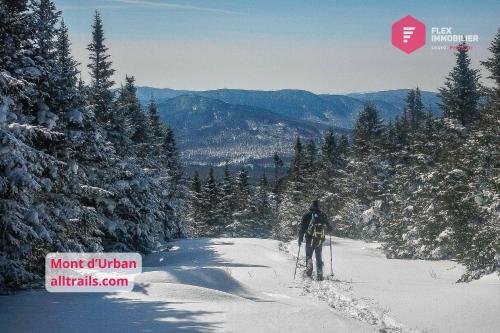a man riding skis down a snow covered slope at L'Ermite - Rustique Écoresponsable Dans la nature in Notre-Dame-Des-Bois