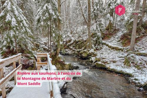 a snow covered forest with a creek and a stop sign at L'Ermite - Rustique Écoresponsable Dans la nature in Notre-Dame-Des-Bois