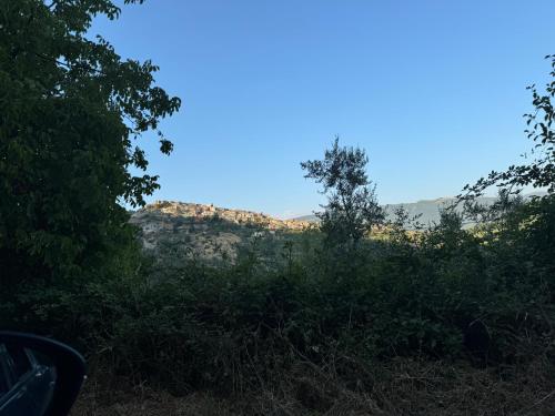 a view of a hill with trees and bushes at Holiday Rome Hub Brigands' Fortress in Rocca Canterano in Canterano