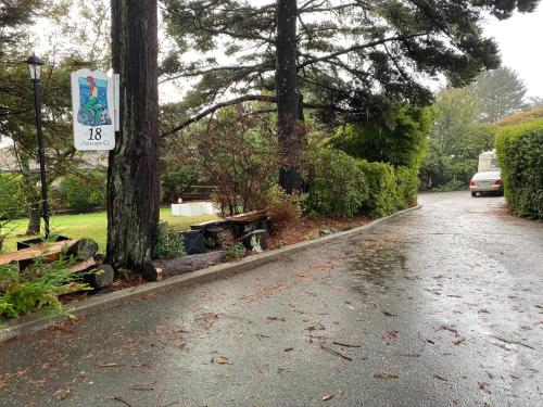 a street with a speed limit sign on a tree at Mermaid's Muse Bed and Breakfast in Brookings