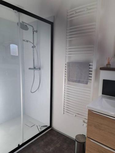 une salle de bain avec une douche en verre et un lavabo dans l'établissement Duplex 147, à Ligny-en-Barrois