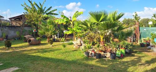 a garden with palm trees and plants in a yard at Modern Villa in Chania in Perivólia