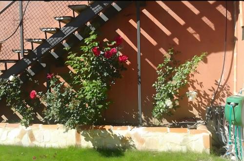 a bush of roses on a wall with a staircase at El Mirador De Campumedra in Vadillo