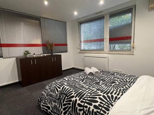 - une chambre avec un lit à motifs zébrés et des fenêtres dans l'établissement Charmant appartement Strasbourg, à Strasbourg