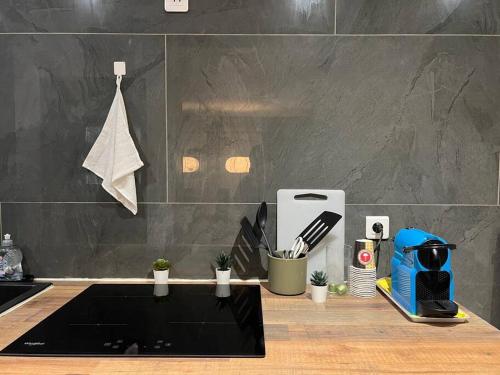 - un comptoir de cuisine avec un comptoir et une cafetière dans l'établissement Charmant appartement Strasbourg, à Strasbourg