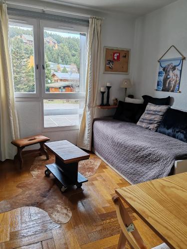 un salon avec un lit et une fenêtre dans l'établissement Apt confortable au pied des pistes et de la forêt, à Bolquère-Pyrénées 2000