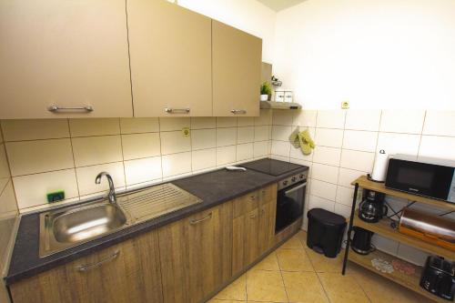 Kuchyň nebo kuchyňský kout v ubytování House Cvit