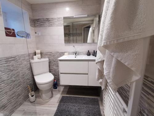 une salle de bain avec toilettes, lavabo et miroir dans l'établissement Ty Plouz Rospico, à Névez