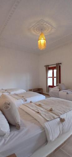 Postel nebo postele na pokoji v ubytování Zagora Oasis Lodge