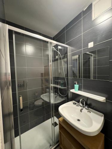 une salle de bain avec un lavabo et une douche en verre dans l'établissement Travel Homes -The Ecolier, 1min from Little Venice, à Colmar