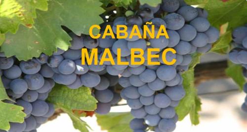 Φωτογραφία από το άλμπουμ του Cabañas El Molino σε Potrerillos
