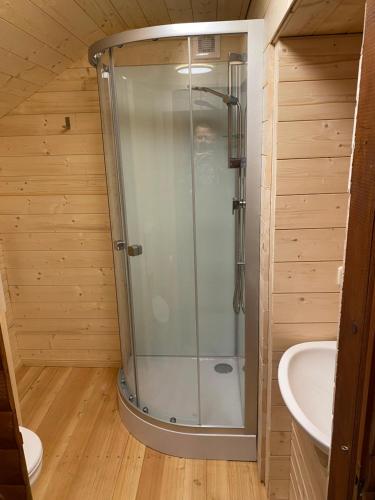 a glass shower in a wooden bathroom with a sink at Gemütliche Blockhütte mit großem Garten in Ried im Innkreis