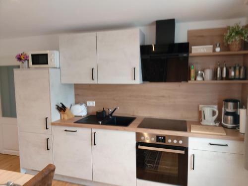 Dapur atau dapur kecil di Albi Haus Winterberg