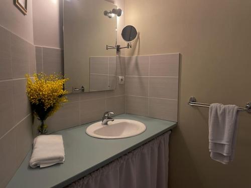 une salle de bain avec un lavabo et un miroir dans l'établissement Grande maison de vacances jardin et piscine privée, à Tautavel