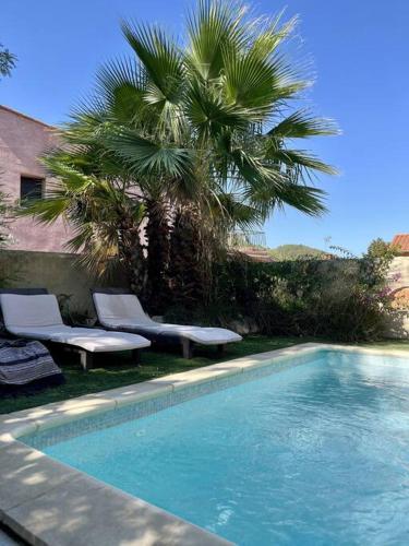 - une piscine avec 2 chaises et un palmier dans l'établissement Grande maison de vacances jardin et piscine privée, à Tautavel
