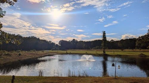 a pond with a fountain in the middle of a field at Cozy Cabin on 80 acres in The Ozarks, very unique! in West Plains