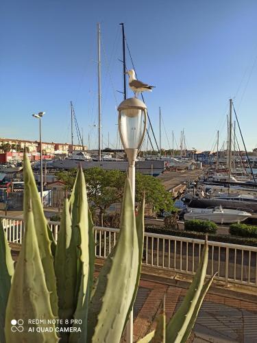 Vue dégagée et terrasse, studio 4 pers, piscine, parking, entre port et plage