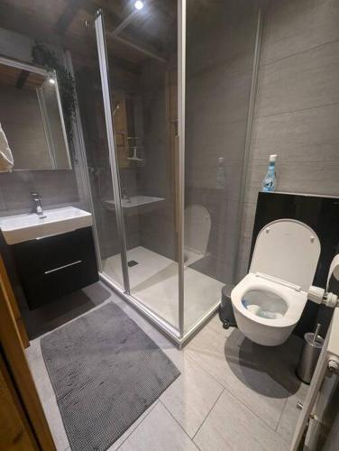 a bathroom with a shower and a toilet and a sink at Studio Le Chamois - Veysonnaz in Veysonnaz