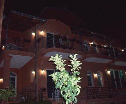 Gallery image of Vila Anastas in Ohrid