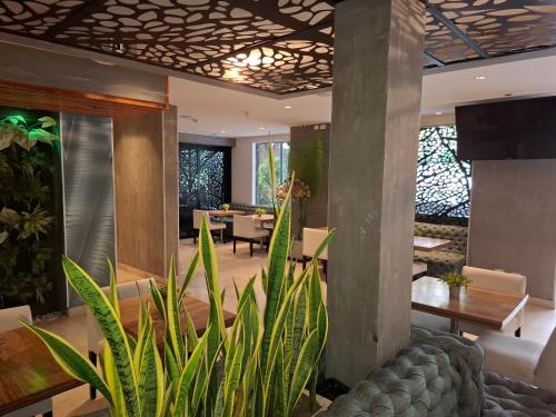 a living room with a table and a plant at Washington Plaza in Barranquilla