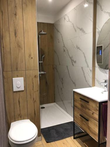 une salle de bain avec une douche, des toilettes et un lavabo dans l'établissement Appart 34m2 rénové , lumineux, à Vittel