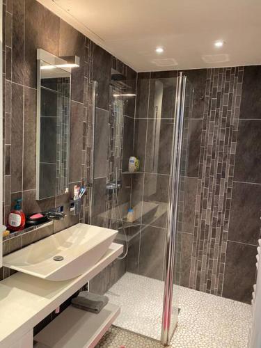 une salle de bain avec un lavabo et une douche dans l'établissement Magnifique maison les pieds dans l eau, à Lumio