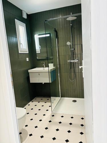 une salle de bain avec une douche, un lavabo et des toilettes dans l'établissement Les cactus bleus 35m2 , quartier des Minimes, à Toulouse