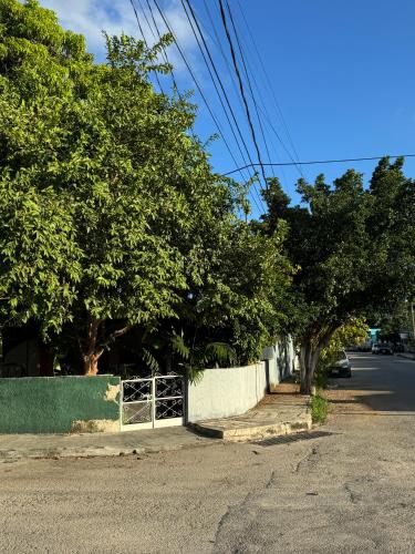 a street with a fence and trees on the side of a road at Casa Mango Confort in Mérida