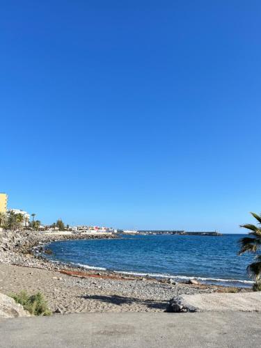 a beach with the ocean and a palm tree at Río Canario 102 in Mogán
