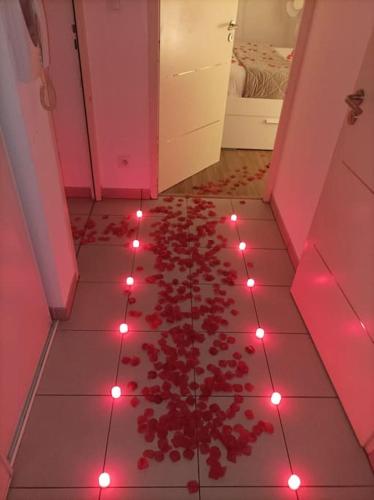 Cette chambre dispose d'un étage avec des lumières rouges et des fleurs. dans l'établissement Charmant Appartement Cozy, à Saint-Jory