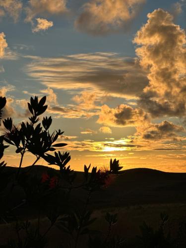 a silhouette of a field with a sunset in the background at The Grey Cottage in Durrës