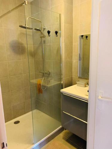 une douche avec une porte vitrée dans une salle de bain dans l'établissement Charmante appartement de 2 chambres à Saint-Étienne-du-Rouvray, à Saint-Étienne-du-Rouvray