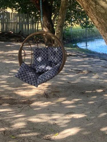 a chair hanging from a tree in a park at Praia da Espera - Paraíso em Itacimirim - Quinta das Lagoas Reserva in Monte Gordo