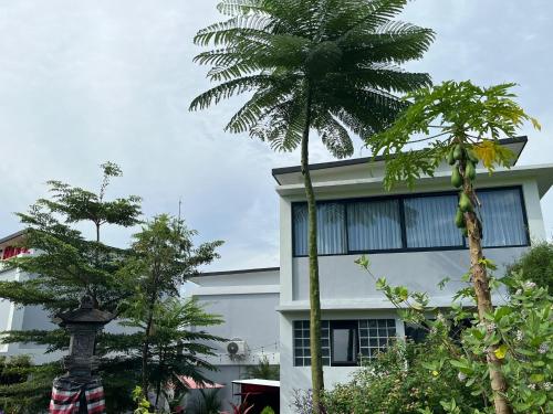 Jardín al aire libre en Maple Ridge Ubud Villas with Rice Field View