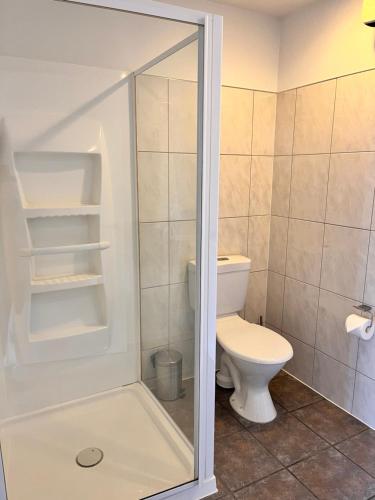 a bathroom with a toilet and a glass shower door at Sundowner Motel in Greymouth