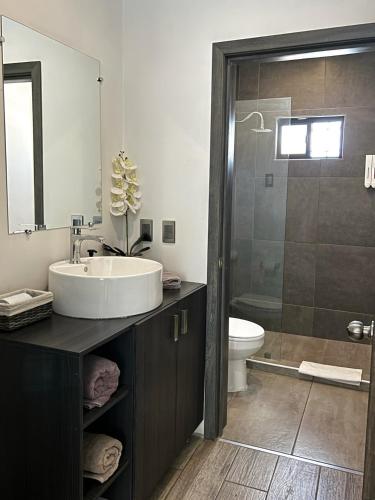 a bathroom with a sink and a toilet and a shower at Quinta del sol in Chihuahua